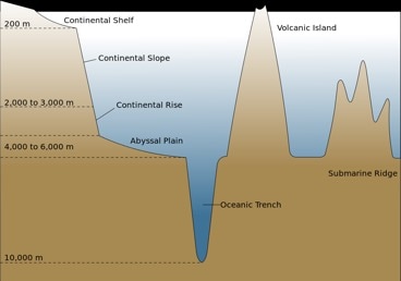 Ocean Morphology