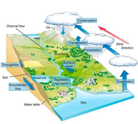 Drainage basin hydrological cycle 